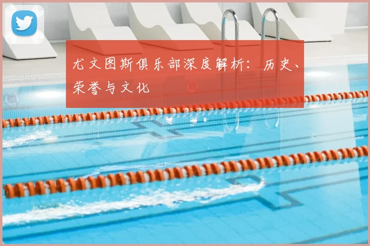 尤文图斯俱乐部深度解析：历史、荣誉与文化