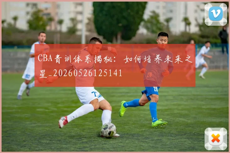 CBA青训体系揭秘:如何培养未来之星_20260526125141